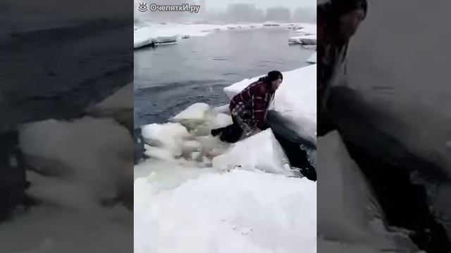 Он забыл про логику