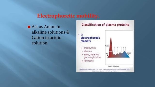 HAEMATOLOGY - COMPOSITION AND FUNCTIONS OF BLOOD. PLASMA PROTEINS. смотреть онлайн