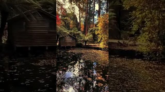 Health Sciences And Environmental Factors.