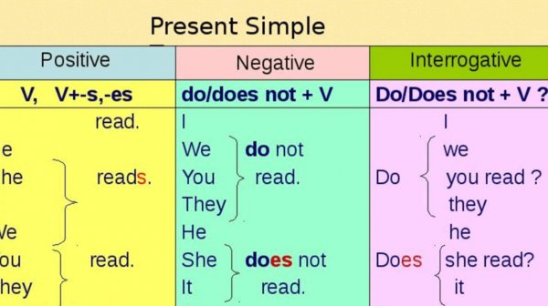 INTRODUCTORY LESSON    ➢PRESENT SIMPLE