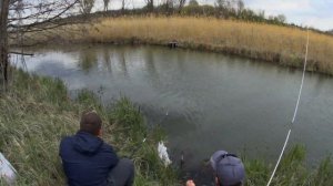 Разведка на карася l Карась на Херабуну и Кормаки l Убийца карася