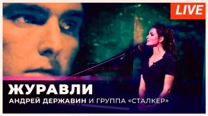 Андрей Державин «Журавли» (live Музыка+)