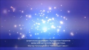 09 МУЖСКАЯ МОЧЕПОЛОВАЯ СИСТЕМА