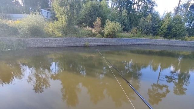 TeleTen 150. Распаковка и первые ощущения.