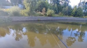 TeleTen 150. Распаковка и первые ощущения.