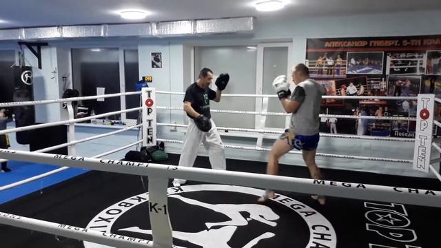 лапы смотреть онлайн