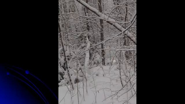 Геннадий Самойлов ЗИМА смотреть онлайн