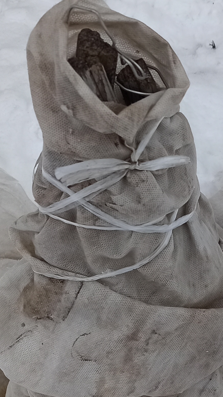 Вот так молоденькую тую готовлю к долгой сибирской зиме. Укрытие туи в зиму#огород#дача#туя смотреть онлайн