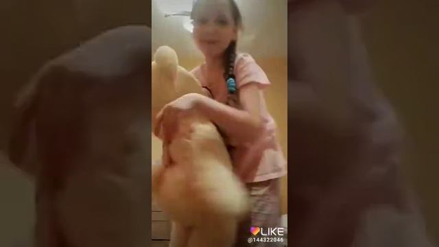 Мишка смотреть онлайн