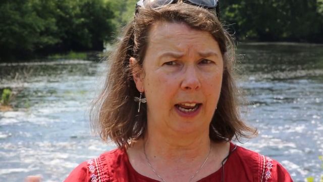 The Story of a River | Part Two: Restoring the Watershed смотреть онлайн