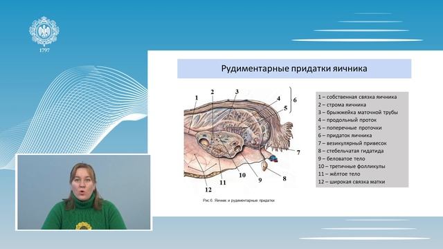 Анатомия человека Лекция 7 1 смотреть онлайн