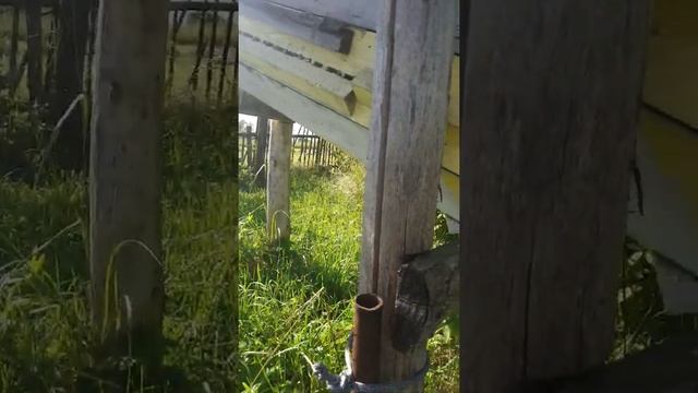 Диалоги о колодах и пчёлах смотреть онлайн
