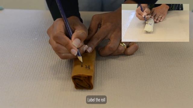 How to do a germination test - paper method