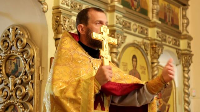 Протоиерей Виктор Иванов. О стремлении к святости. 26.06.2016 г. смотреть онлайн