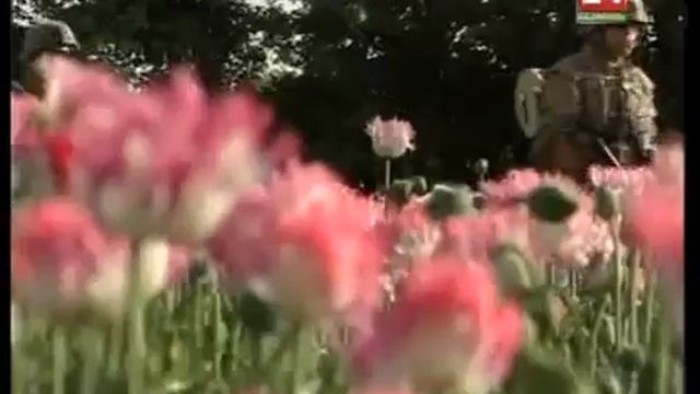 Права человека: Взгляд в мир (23.07.2013) смотреть онлайн