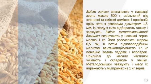 Методи визначення якості зерна смотреть онлайн