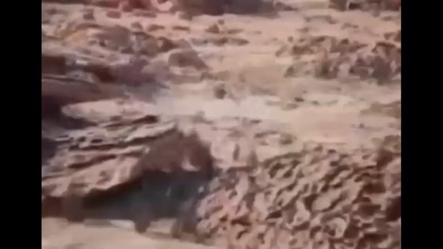 ОПТИМИСТ смотреть онлайн