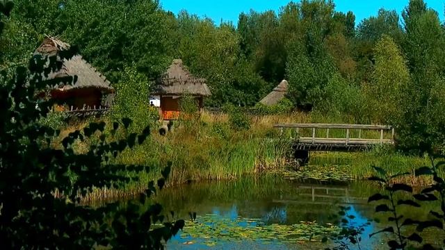 Заколдованный лес. Владимир Высоцкий смотреть онлайн