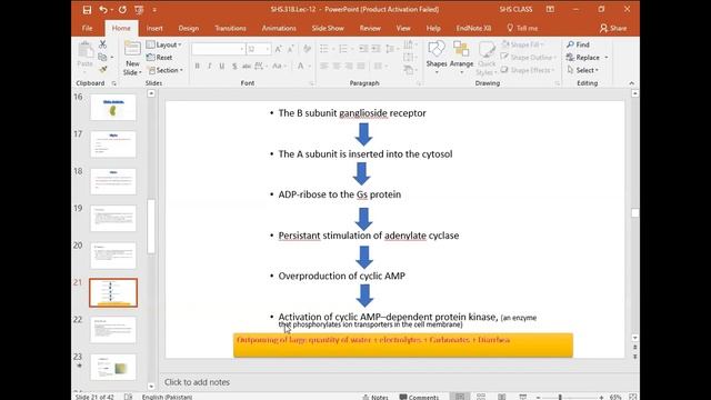 Enterobacteriaceae- Pathogens Primarily Within The Enteric Tract