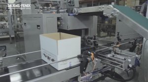 Линия фасовки шоколадных конфет: укладка пакетов в гофрокороба