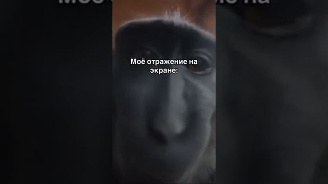 было? смотреть онлайн