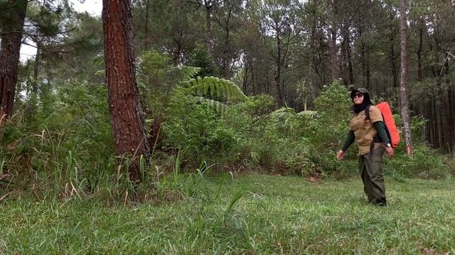 SOLO CAMPING IN HEAVY RAIN AND THUNDERSTORMS - RELAXING CAMPING IN RAIN