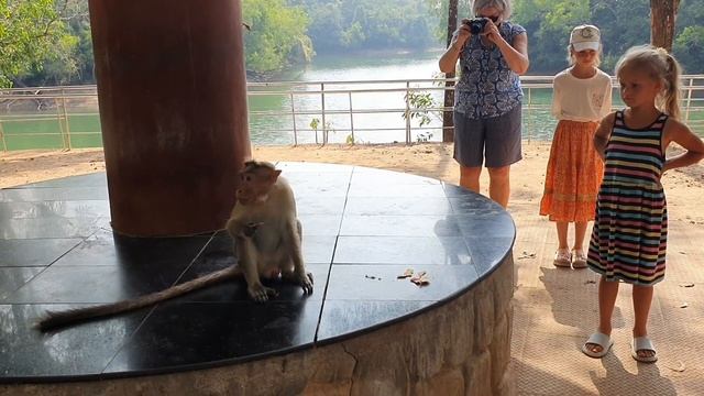 5 блондинок в Индии