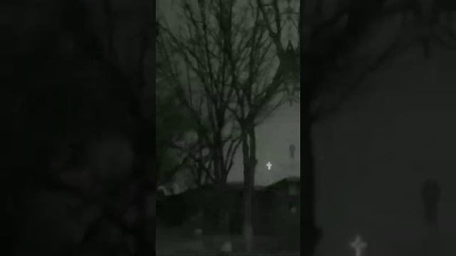 Природа без человека выживет, но человек без природы - нет