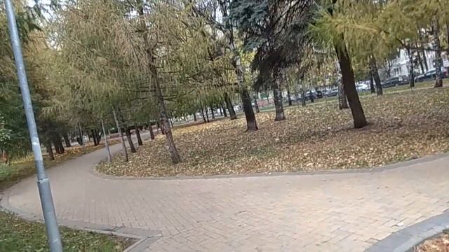 Прогулка по бульвару. Экология района. Сюрприз от мужа. Рандеву.