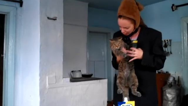 Валерий Меладзе, Бухенвальд и канистра смотреть онлайн