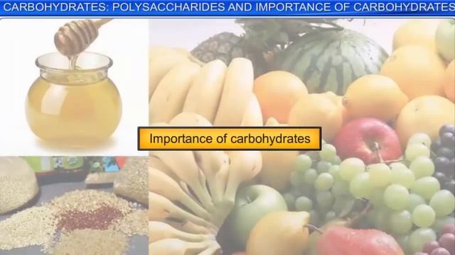 Chemistry 12 Bio molecules & Polymers смотреть онлайн