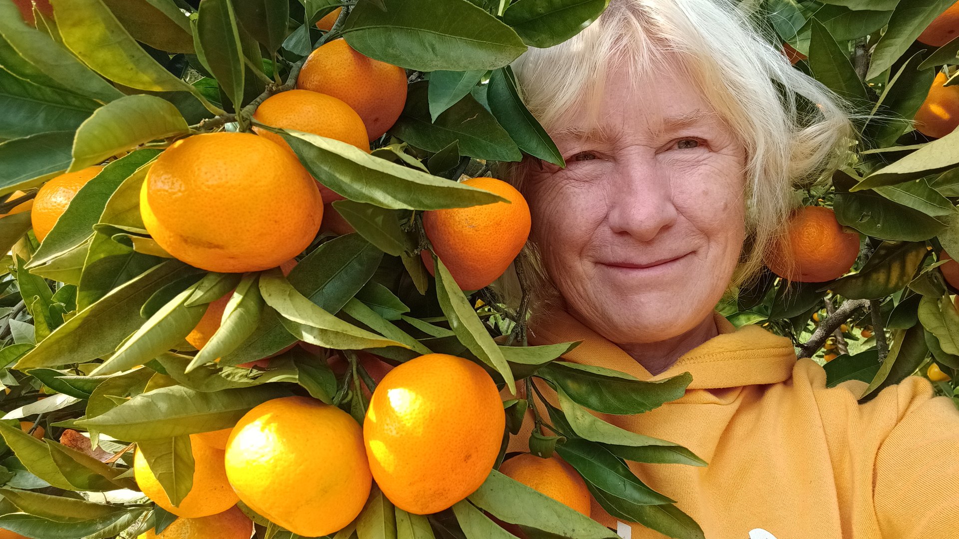 36. Снова на зиму в Абхазию. День 36, 11.11.2024. Мандариновый рай, пикник на -2, костёр и приветы смотреть онлайн