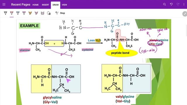 SK025 : CHAPTER 12 AMINO ACIDS (12.1 Introduction To Amino Acids - Part B-ii)