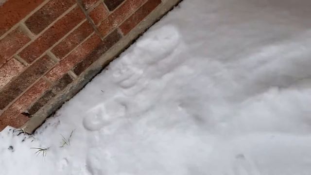 It snowed last week! (My perspective) смотреть онлайн