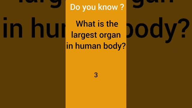 Do You Know What Is The Largest Organ In Human Body? 🤔🤔🤔