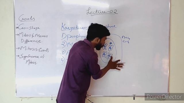 Cell Cycle And Division Part-2 #neet2023biology #forneet #plusone.