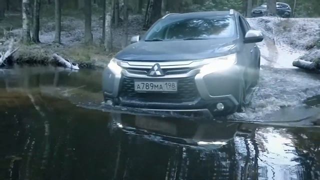 МПС3 Лайт прогулка по лесу. смотреть онлайн