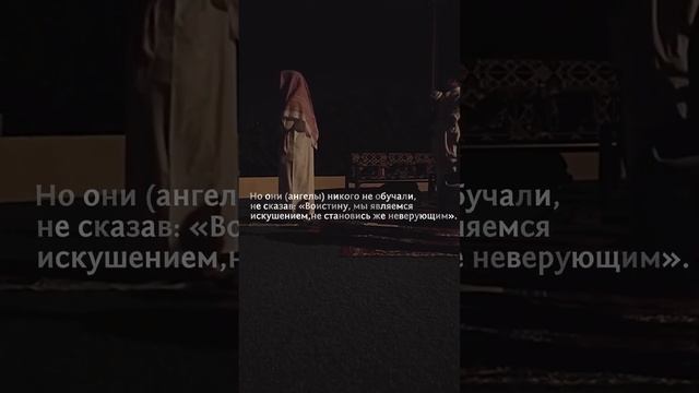 прекрасная книга АЛЛАХА #quran #islam #ислам смотреть онлайн