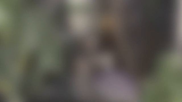 OVERDOSE - Замена Танжу?! Обзор смотреть онлайн