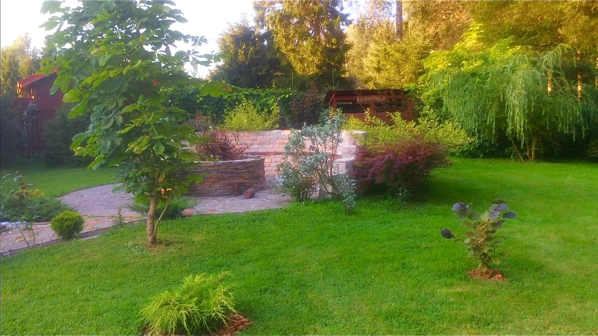 ДЕРЕВЬЯ И КУСТАРНИКИ В ХОЛОДНОЕ И СЫРОЕ ЛЕТО. Видео из архива 2020г. смотреть онлайн