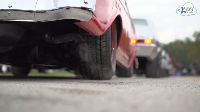 Let’s Celebrate Earth Day! How To Take Care Of The Environment? | Educational Videos For Kids