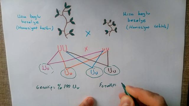 8. SINIF KALITIM #2025LGS #KALITIM  #LGS2025  #LGS2025