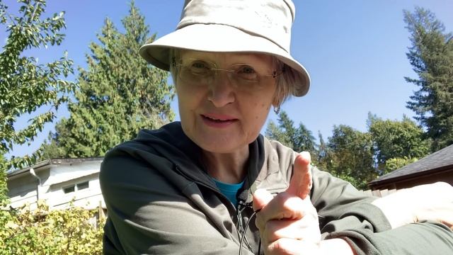 ПОЧЕМУ НАС ОБИЖАЮТ . КАК ЗАЩИТИТЬСЯ ОТ НЕДОБРОЖЕЛАТЕЛЕЙ . КОЛЕНА