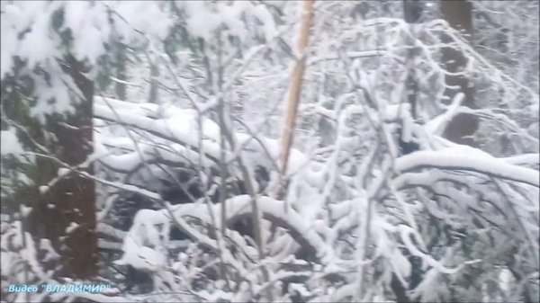 Зарисовка - Пермская ЗИМА