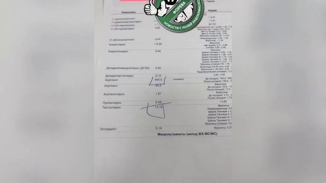 Гормональная система настоящего полицейского #эндокринолог #эндокринологмосква #гормоны #греков смотреть онлайн