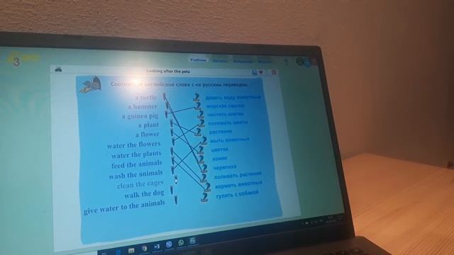 Урок английского 3 класс (3) смотреть онлайн