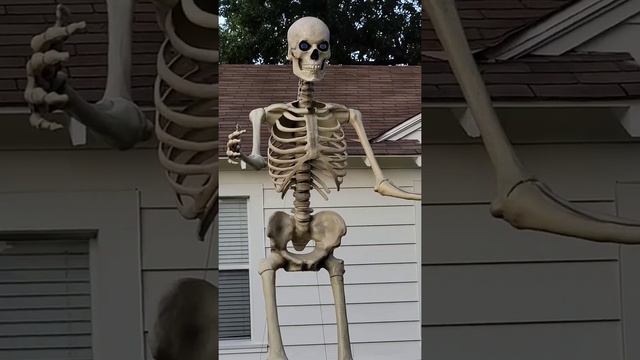 Скелет во дворе дома в Техасе, США