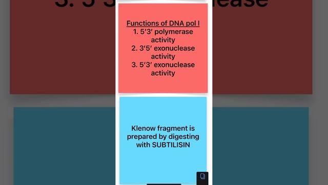 Points on Klenow fragment of DNA polymerase I смотреть онлайн