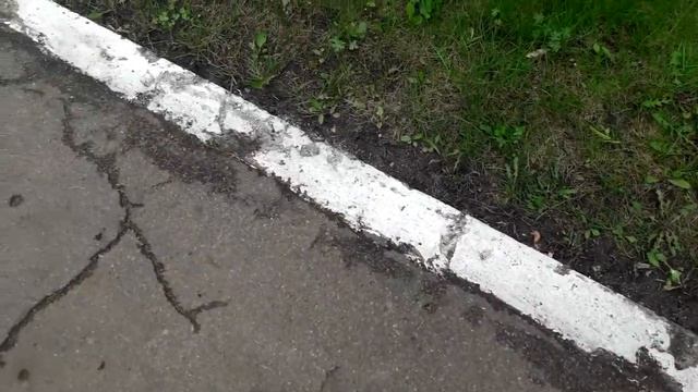 Хоррор. Плебейский смотреть онлайн