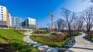 Двор-парк на 1.5 га в «DNS Сити»: гулять, заниматься спортом, наслаждаться природой